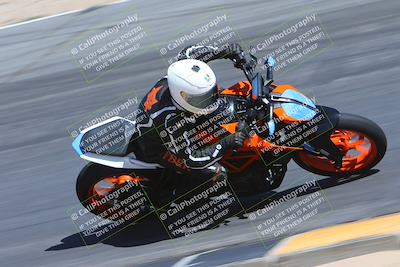 media/Mar-25-2024-Moto Forza (Mon) [[8d4319bd68]]/4-Novice Group/Session 4 (Turn 10 Inside)/